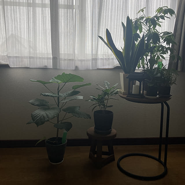 実例写真