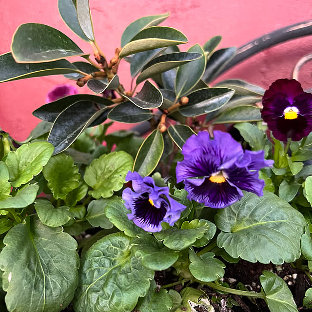 AYUKOさんの部屋