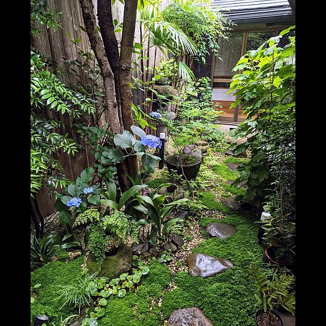 aromameさんの実例写真