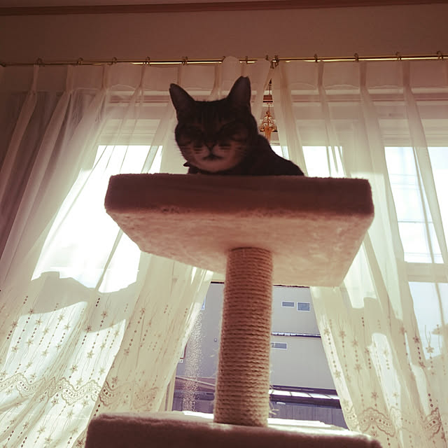 lilyさんの実例写真