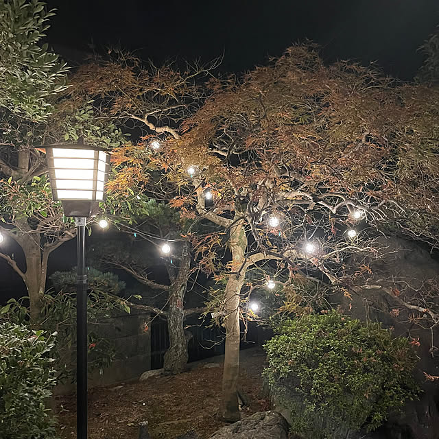 shin0719さんの実例写真