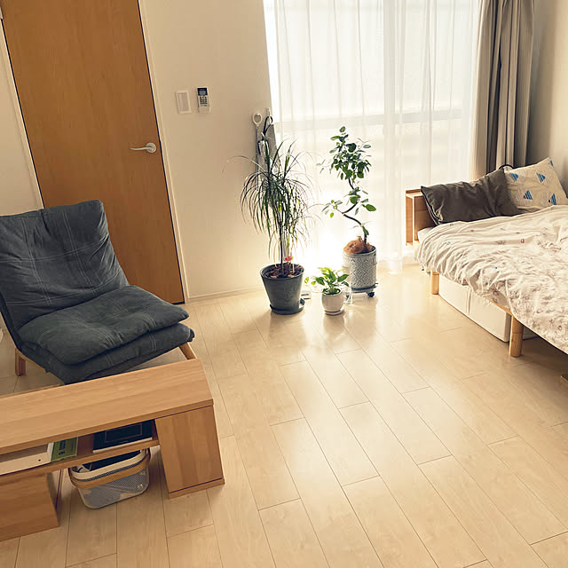 観葉植物/部屋全体のインテリア実例 - 2022-09-11 12:27:35