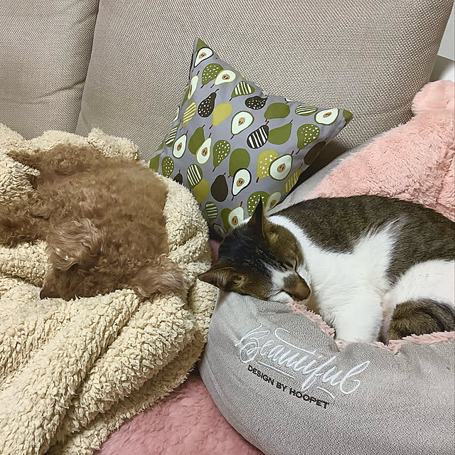 haruminさんの実例写真