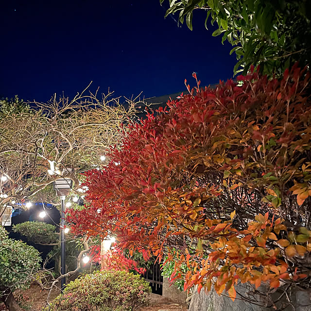 shin0719さんの部屋