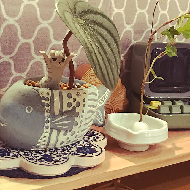 kou-kitiさんの実例写真