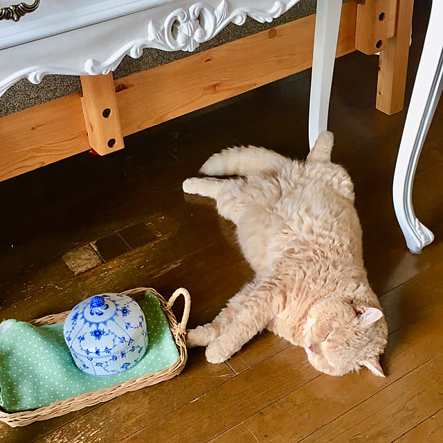 naokoさんの実例写真