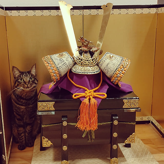 hihaさんの実例写真