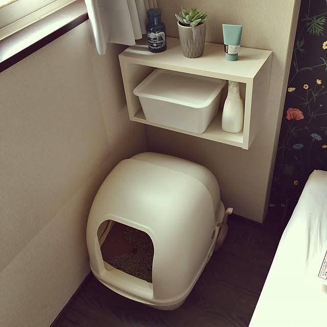 tokotokoさんの実例写真