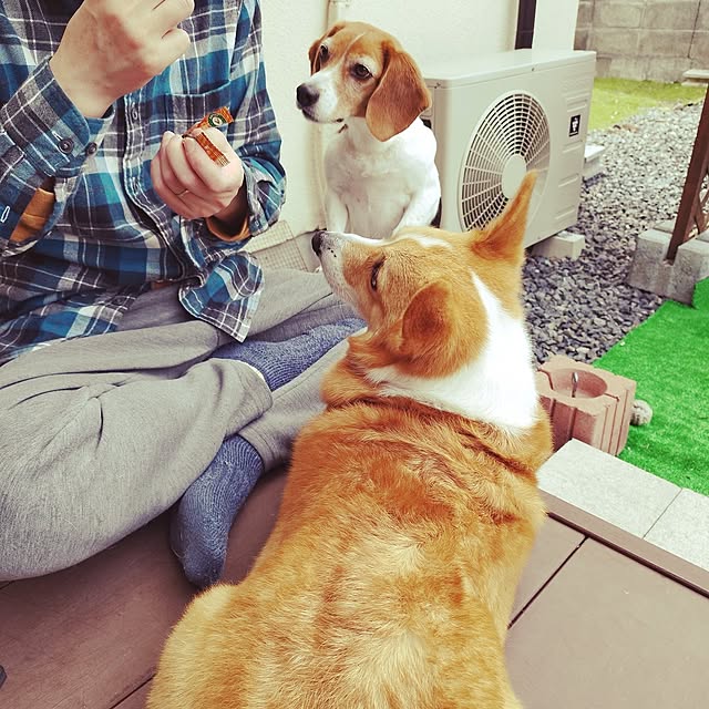 animallandさんの部屋