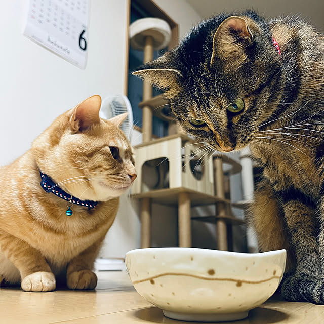 chiiさんの部屋