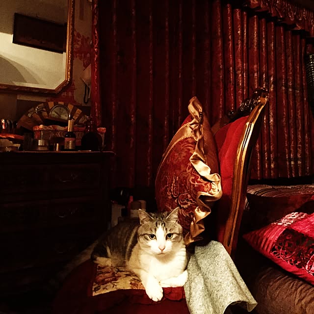 emmyyさんの実例写真