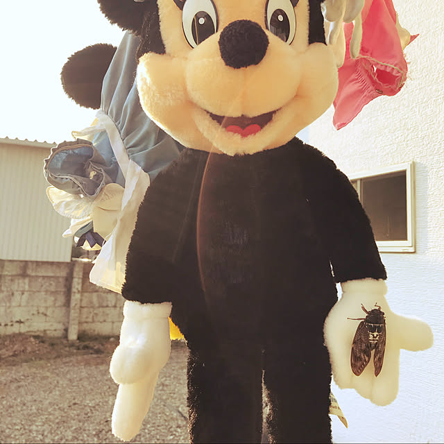 TOROさんの実例写真