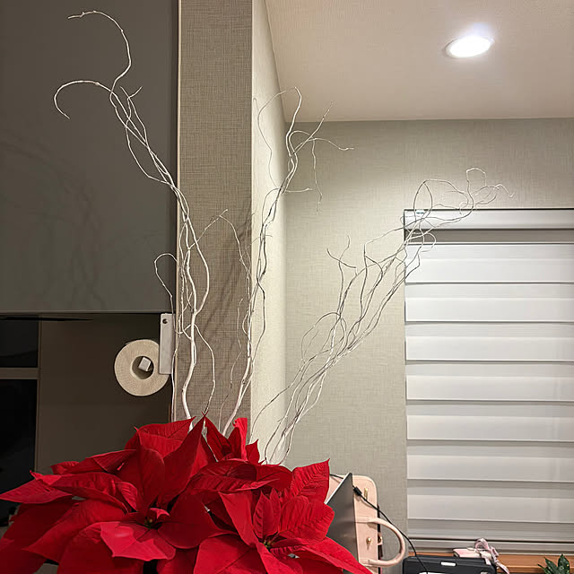 ikuzakさんの実例写真