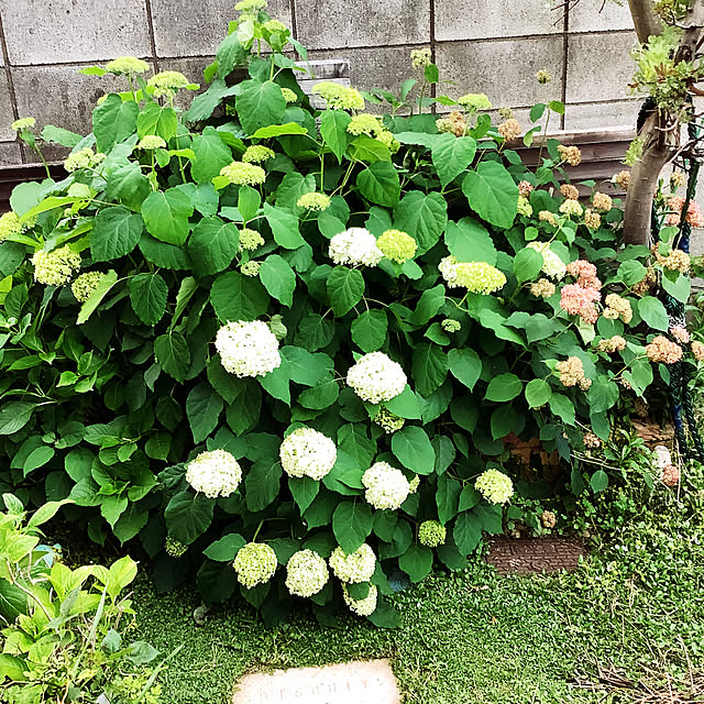 taeさんの部屋