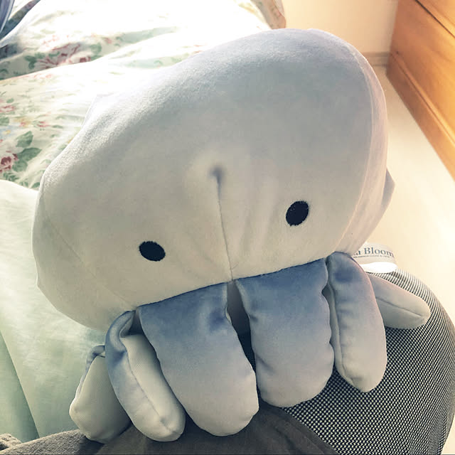 kazuさんの実例写真