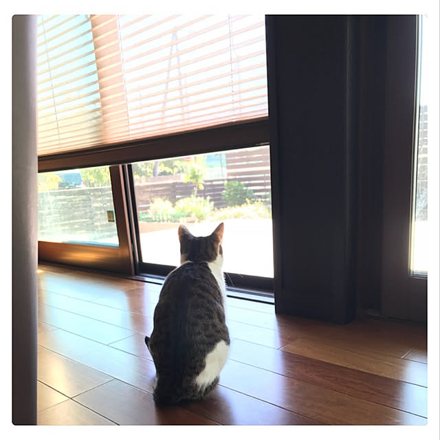 nsugi0710さんの実例写真