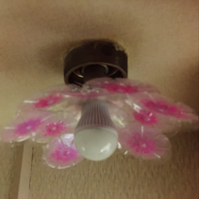 azupeeさんの実例写真