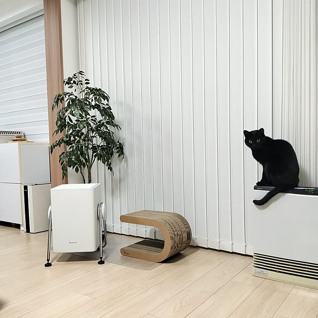 sakuraさんの部屋