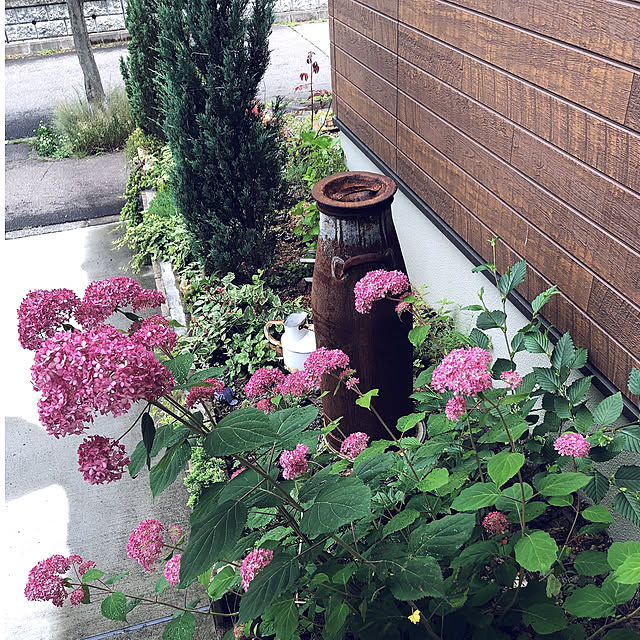 ponponHOUSEさんの実例写真