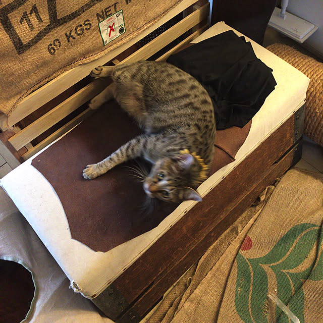 Mさんの実例写真