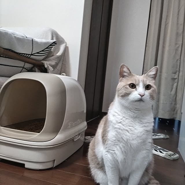 yuuさんの部屋