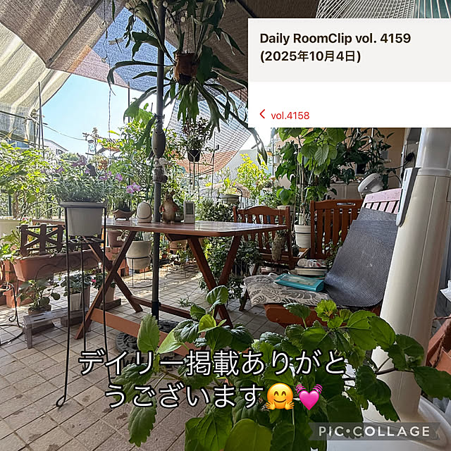 Aqettyさんの実例写真