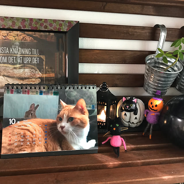 nyanko-beamさんの実例写真