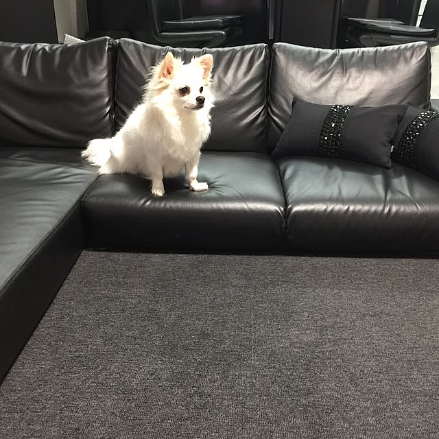 Ti-chanさんの実例写真