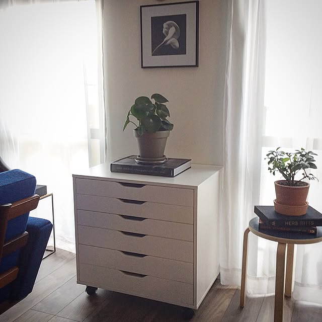 棚/IKEA/植物/シンプルインテリアのインテリア実例 - 2017-06-22 15:03:16