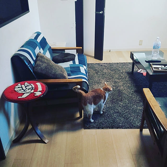 noguchiken0102さんの実例写真