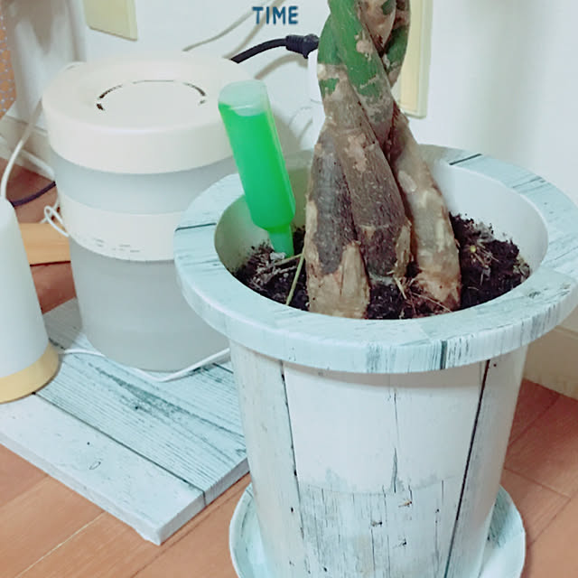 maruさんの実例写真