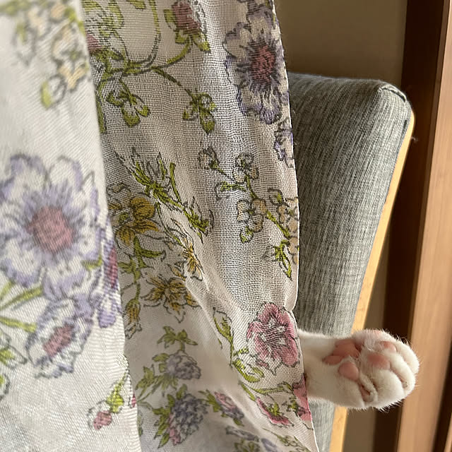 pontaさんの実例写真