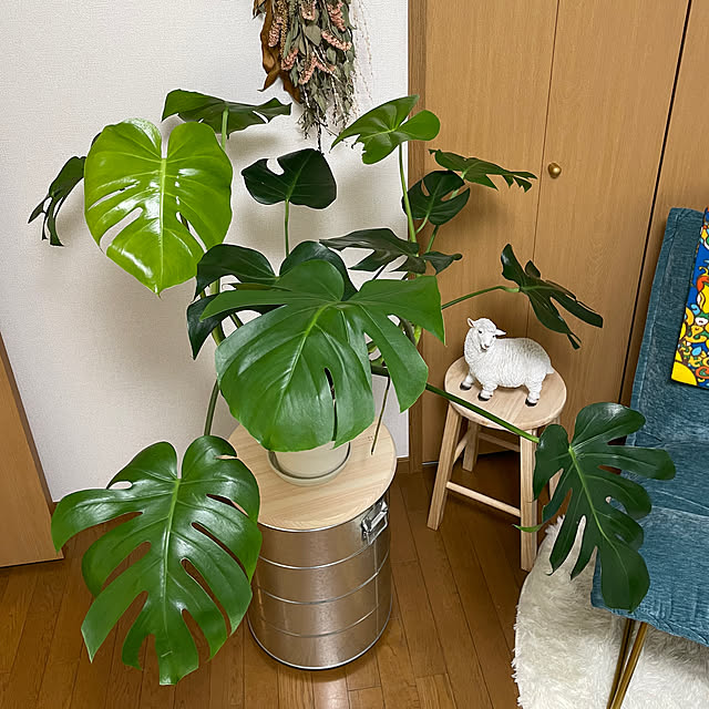 chi.pa.ruさんの部屋