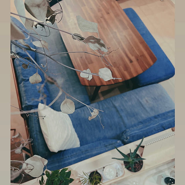 lani...roomさんの実例写真