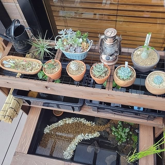 chamaruさんの部屋
