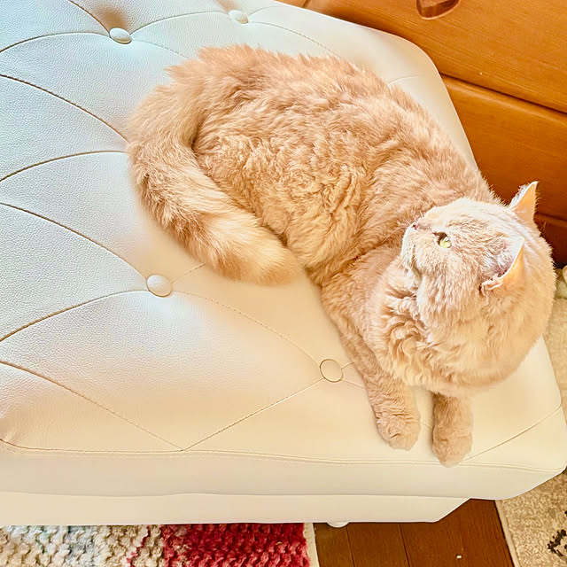 naokoさんの部屋