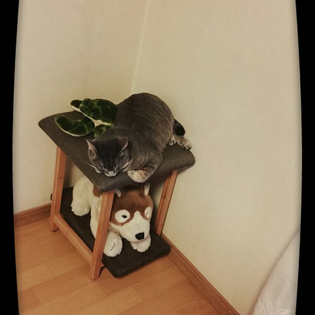oyumiさんの実例写真