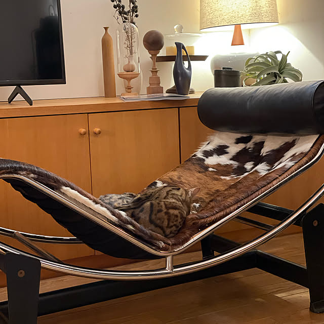 kabu10さんの実例写真
