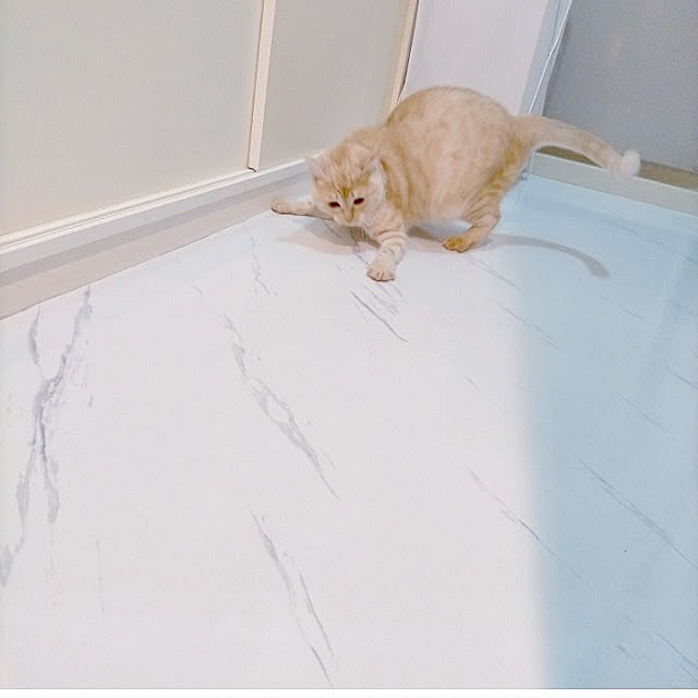heart.emiemi57.whiteさんの実例写真