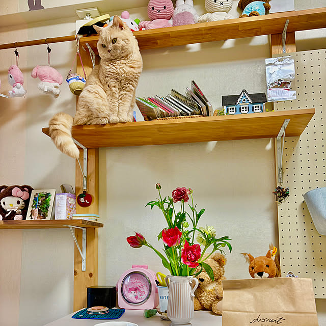 naokoさんの部屋