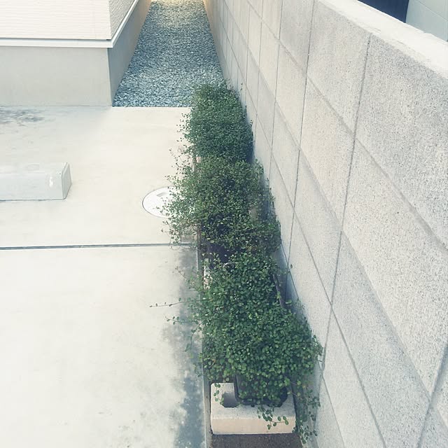 k.mi_zuさんの実例写真