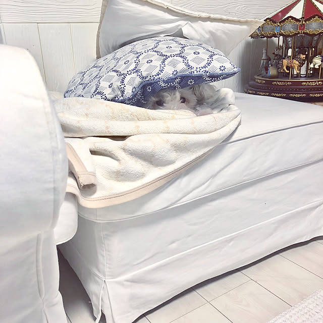 suzyさんの実例写真