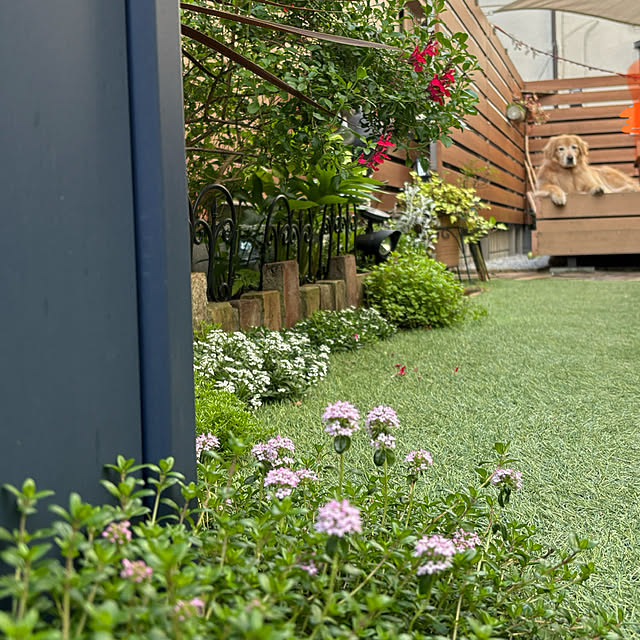 Mutsumiさんの部屋