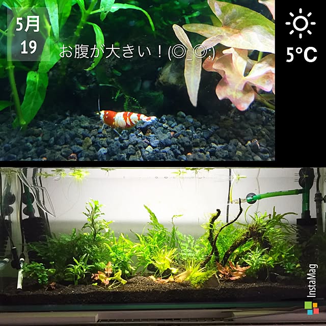 kusuttoさんの実例写真