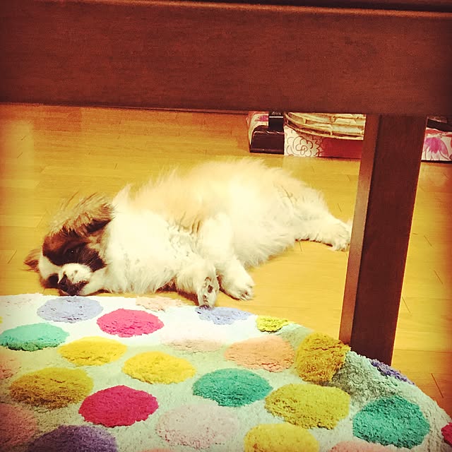 popaiさんの実例写真