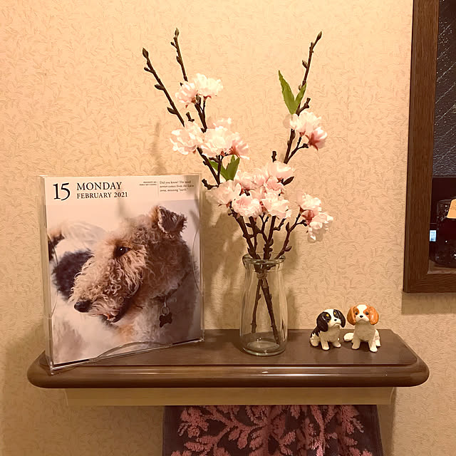 kinakuroさんの実例写真