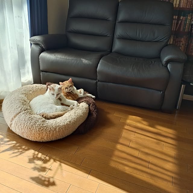 NOAHさんの部屋