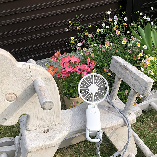 doremiさんの部屋