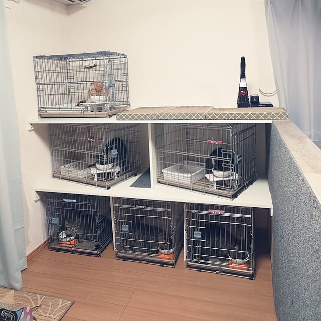 noguriさんの実例写真