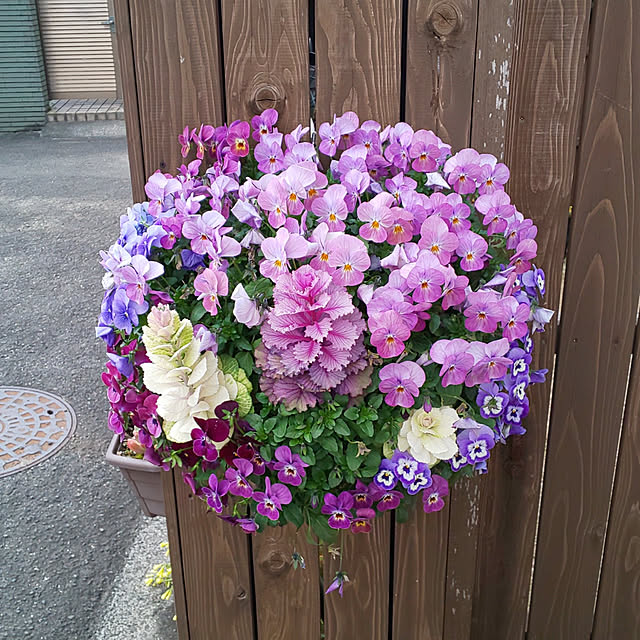 minaさんの実例写真